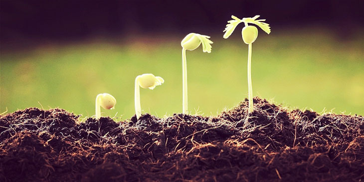 河南成考專升本農(nóng)學(xué)專業(yè)