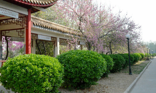 河南省水利水電學校