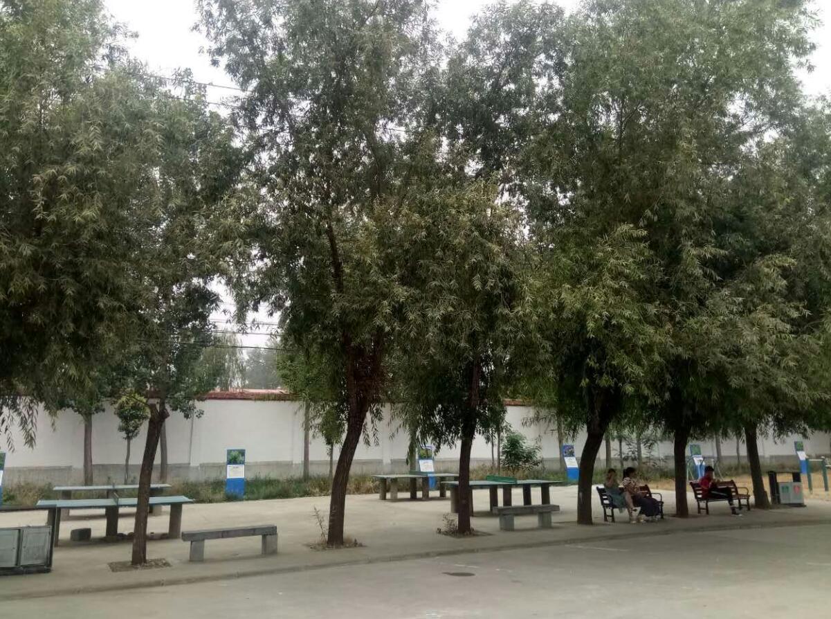 洛陽中醫(yī)藥學(xué)校校園環(huán)境